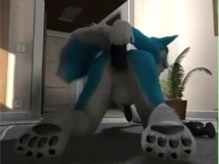 Blue furry playing with dildos - gay yiff animation